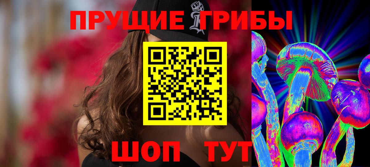 Псилоцибиновые грибы Psilocybe  Вход с VPN  магазин продажи наркотиков  Кохма  Псилоцибиновые грибы мицелий 